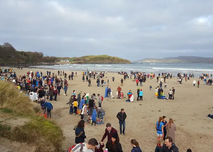 Willow House Eircode F92v67t No Kitchen No Washing Machine At Time Available Kwatera prywatna *